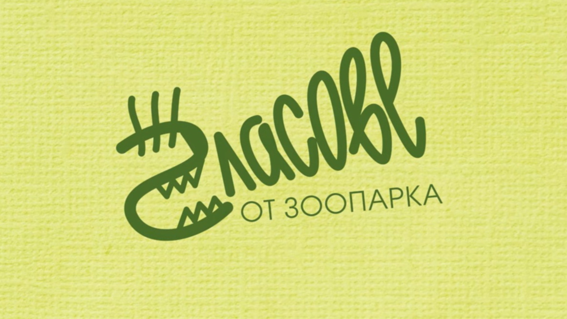 "Гласове от зоопарка": Знаете ли, че носорозите могат да тичат много бързо?