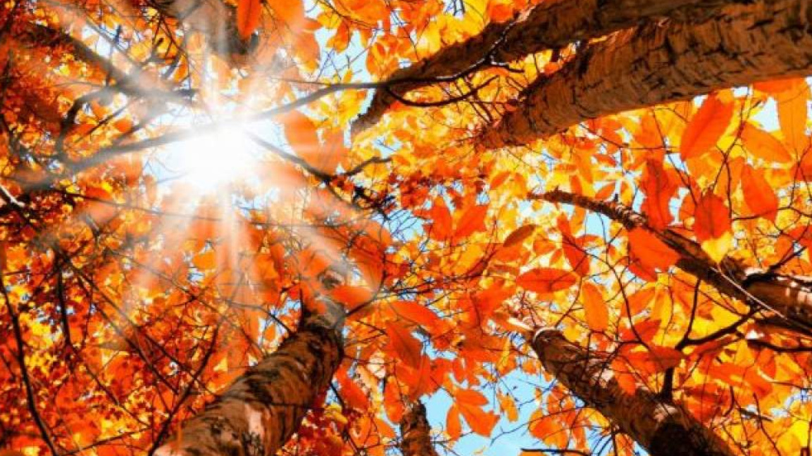 „Ефир за приятели“ с Лалка Радкова...