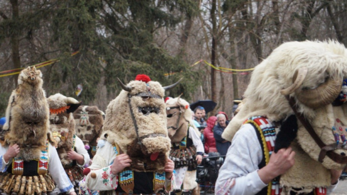 Започна подготовката за кукерските игри ...