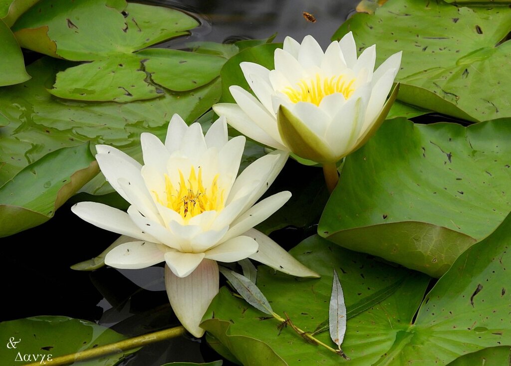 С Радио Шумен на 28 август